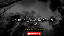 Sitaro Se Agay Jahan Aur Bhi hain | ALLAMA IQBAL | Poetry Lines | Poetry Junction