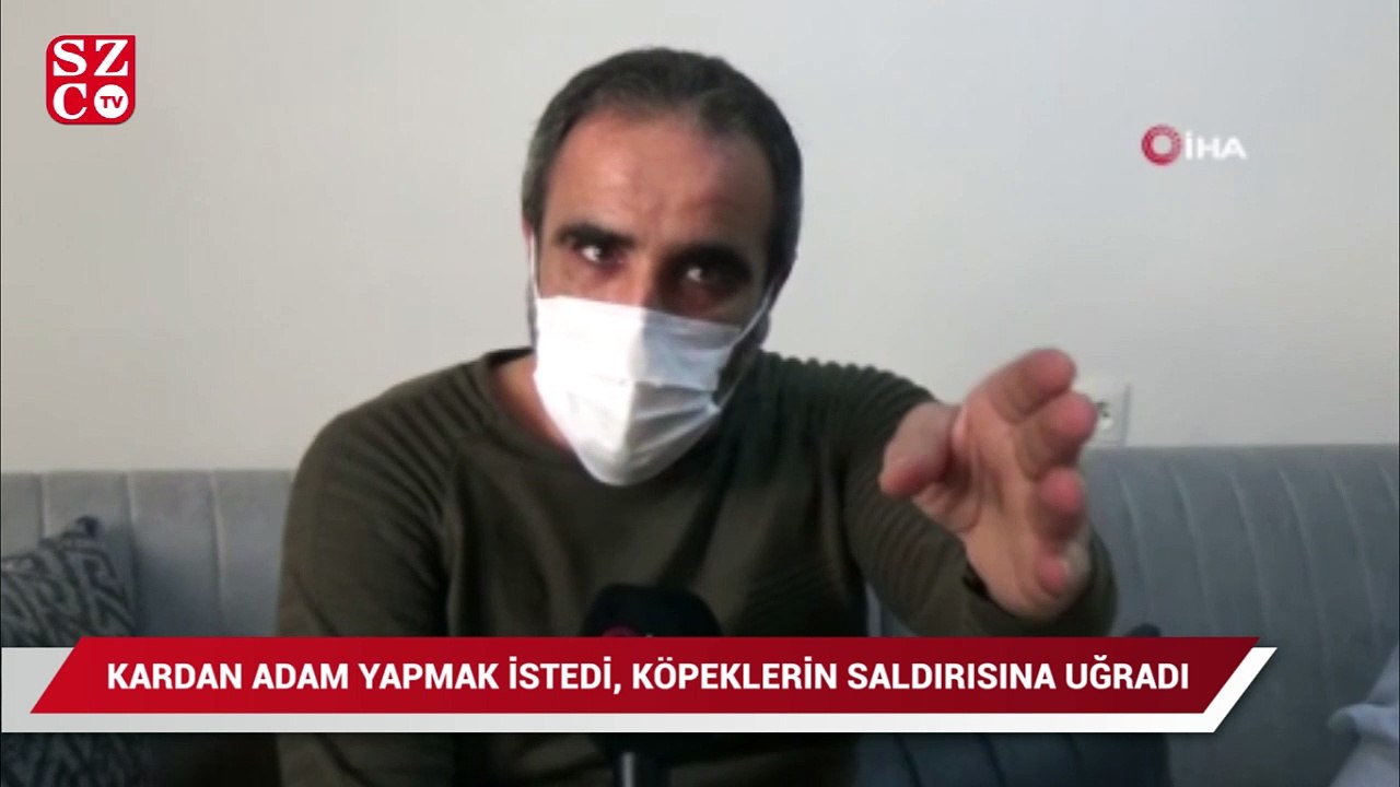 Kardan adam yapmak isteyen çocuk köpeklerin saldırısına uğradı