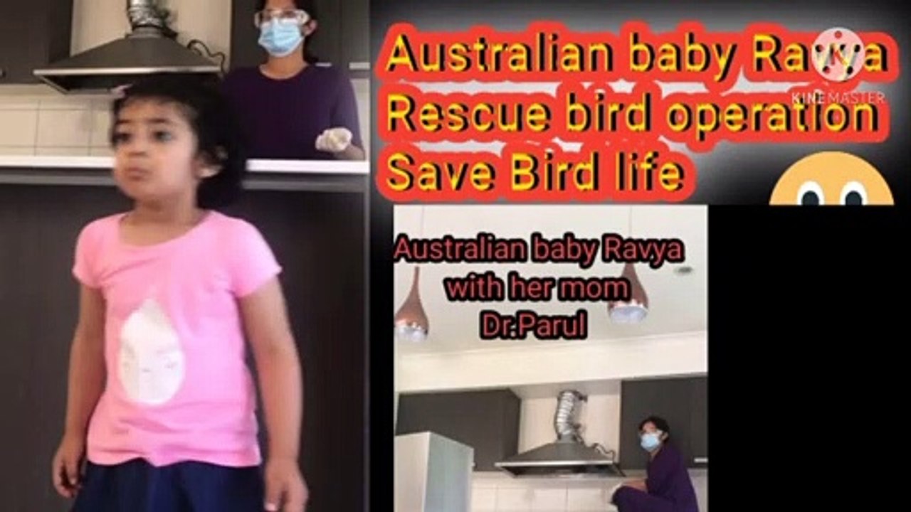 #NKMOTIVATION |save bird life | Rascue Operation of bird life Australian | baby Ravya with  her mom Dr.Parul