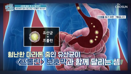 장은 물론 다이어트에 도움 되는 『○○○유산균』 TV CHOSUN 210127 방송