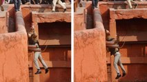 Delhi cops pushed down the walls by protesters