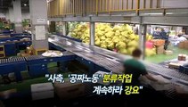 [영상구성] 택배노조 