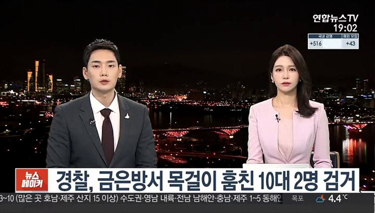 경찰, 금은방서 목걸이 훔친 10대 2명 검거