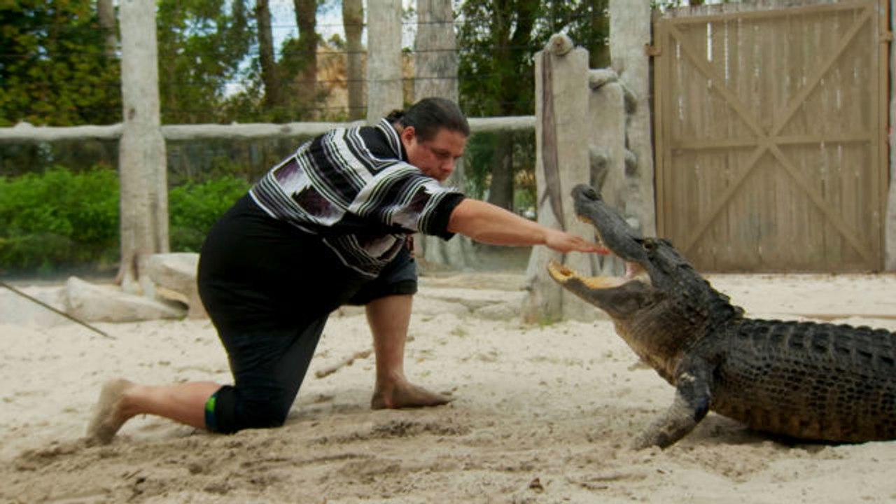 The Seminole Tribe Perfected Alligator Wrestling