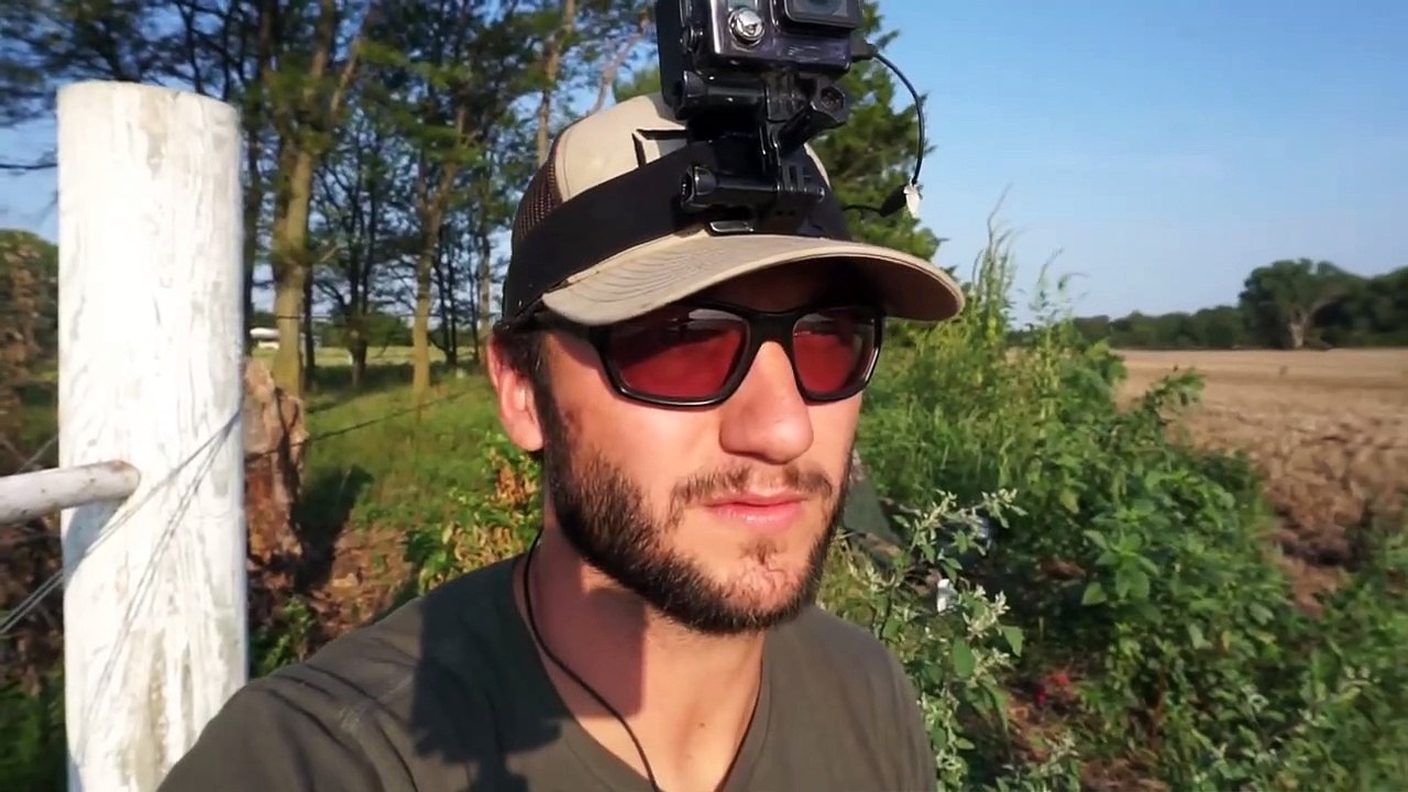 WILD Pigeon Hunting with 2 BANDS! (COPS CALLED)صيد الحمام البري مع شريطين! (دعا COPS)