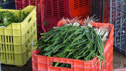 Νέα μέτρα στήριξης. Αγρότες: "Ευχαριστούμε δεν θα πάρουμε"