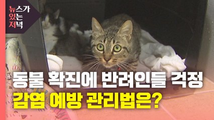 [뉴있저] 국내에서도 반려동물 확진...예방 관리 방법은? / YTN