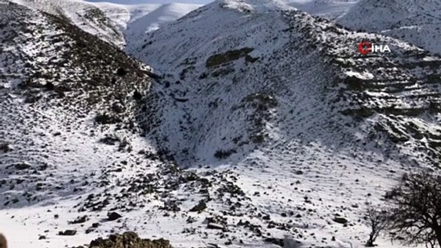 Başkale’de patlayıcı, silah ve mühimmat ele geçirildi