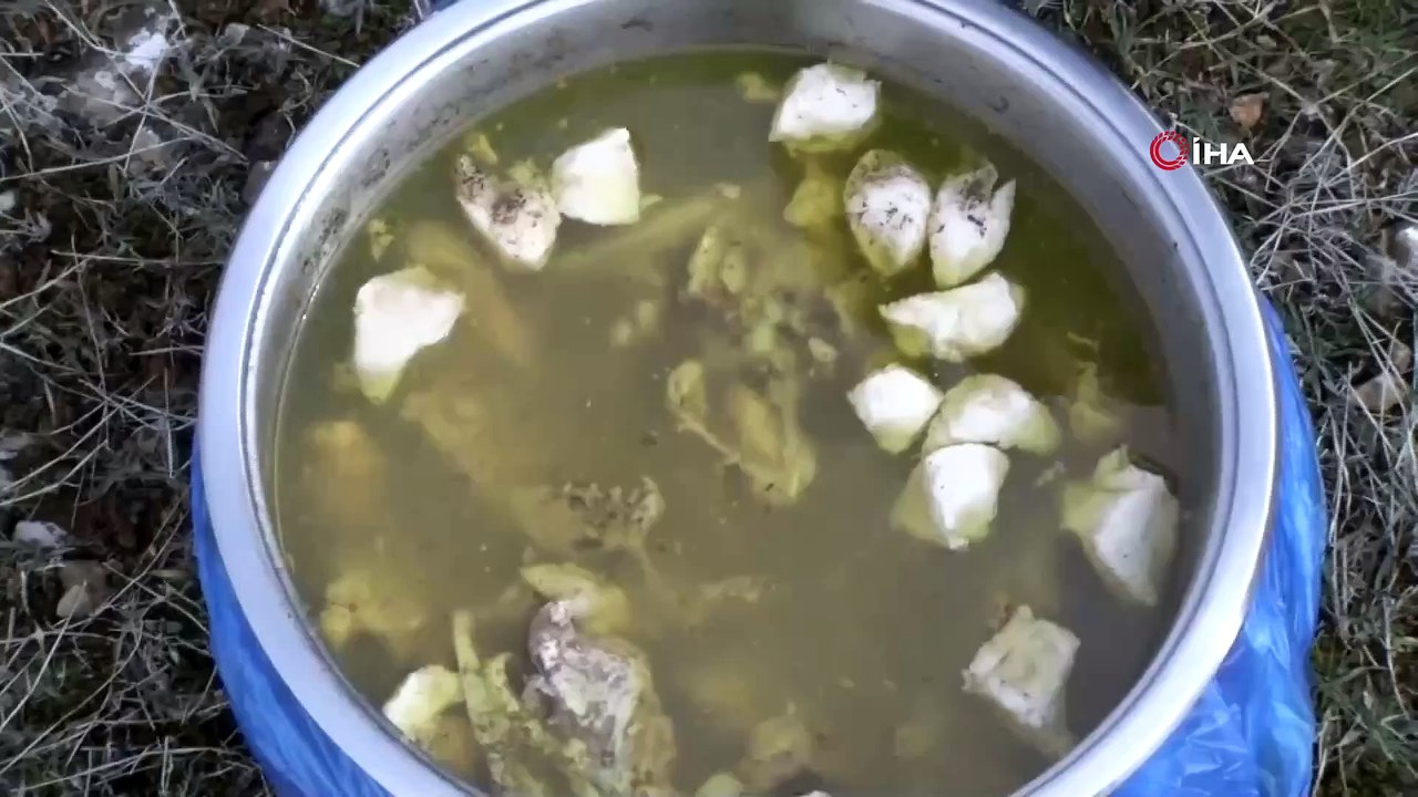 Sokak köpeği silahla vurularak öldürülmüş halde bulundu