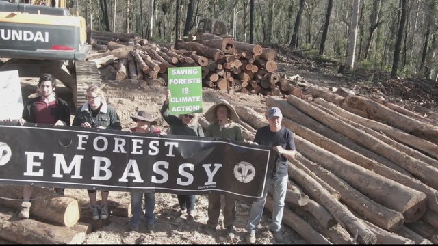 Forest fires, logging create big crisis in Australia