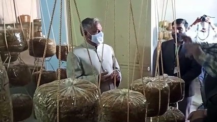 एसकेआरएयूः कुलपति ने किया मशरूम उत्पादन इकाई का उद्घाटन