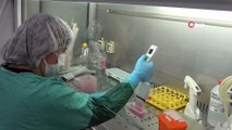 Korona Virüs Tedavisinde Yeni Bir Umut Olarak İlaç Türkiye'de Üretilecek İha