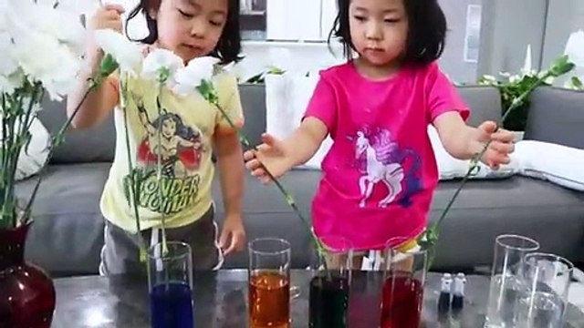 Color Changing Flowers Easy DIY Science Experiments for kids