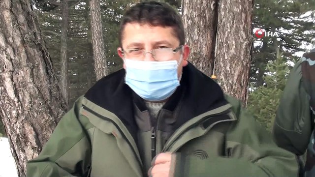 - Başpınar yaylasında yaban hayvanları için yem bırakıldı