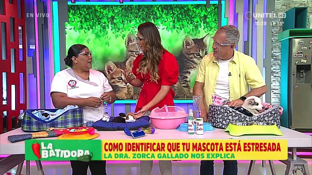 ¿Cómo saber si nuestra mascota está estresada?