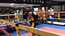 Guanteo: Gabriel Escalante vs Carlos Carballo - Alpha Dog Boxing Club