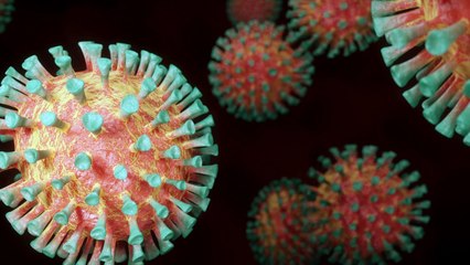 Vivre avec les fenêtres ouvertes aide-t-il à la lutte contre le coronavirus ?