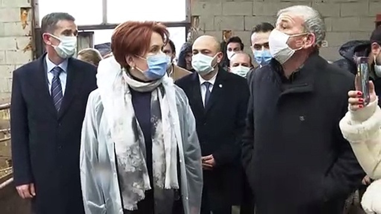 İYİ Parti Genel Başkanı Meral Akşener, Sakarya'nın Serdivan İlçesi'nde besiciler ve çiftçileri ziyaret etti