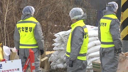 경기 포천·파주 등 가금농장 4곳 고병원성 AI 확진 / YTN