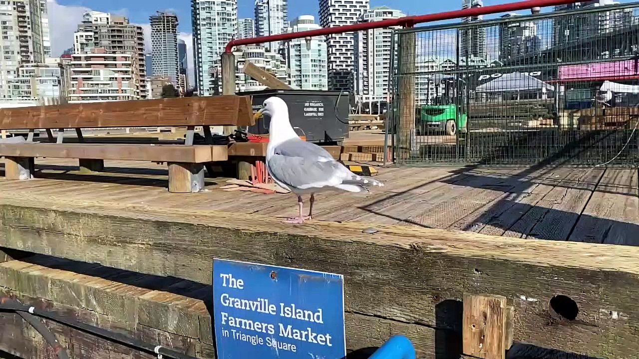 CANADA