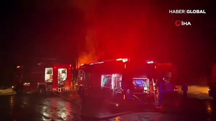 Polenezköy Tabiat Parkı'nda korkutan yangın