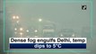 Dense fog engulfs Delhi, temperature dips to 5 degrees Celsius