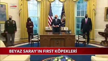 Beyaz Saray'ın First Köpekleri