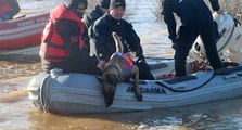 Baraj suyunda kaybolan kişiyi ‘kadavra köpekleri’ arıyor
