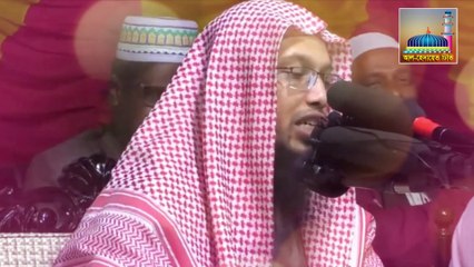 সুরা হাঁশরের শেষ তিন আয়াত সম্পর্কে চারজন ইসলামিক স্কলারের বক্তব্য।