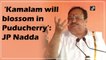‘Kamalam will blossom in Puducherry’: J P Nadda