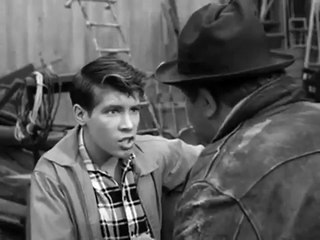 American Sitcom Television - My Three Sons Season 1 Episode 27