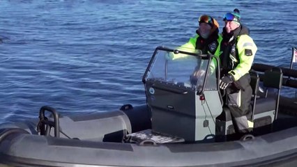Seule sur une île, une infirmière suédoise regarde les films du Festival de Göteborg