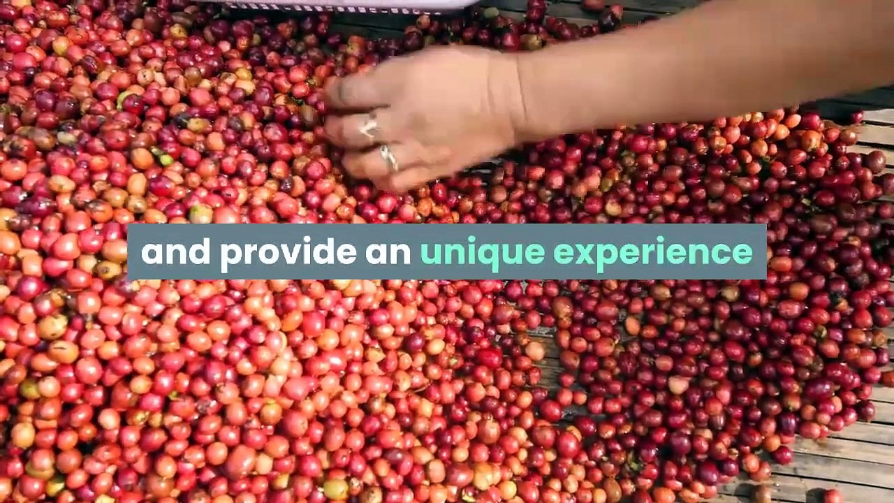 roasted coffee stimulates all human senses