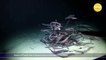 Swarm of Pacific eels is largest group of fish seen in the abyss