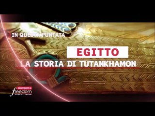 Freedom Documentary Trinity College ep.