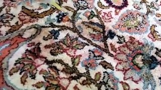 Project-9 (Silk Rug Cleaning New Jersey)