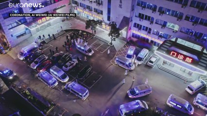 Ai Weiwei retrata el caparazón de Wuhan