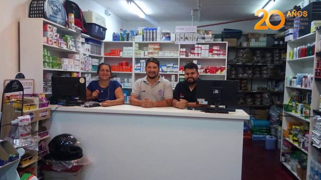 Tenencia responsable y castración de mascotas, la solución para disminuir el número de perros y gatos abandonados