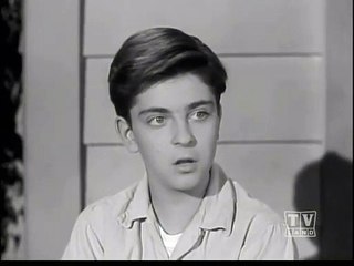 LASSIE - THE HARVESTERS