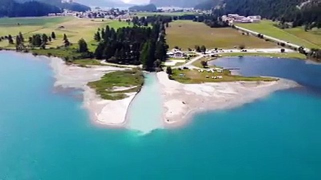 #forest birds singing #relaxation-#soothing-music #stress#Relaxing Music #Stress #Relief #Insomnia #Meditation