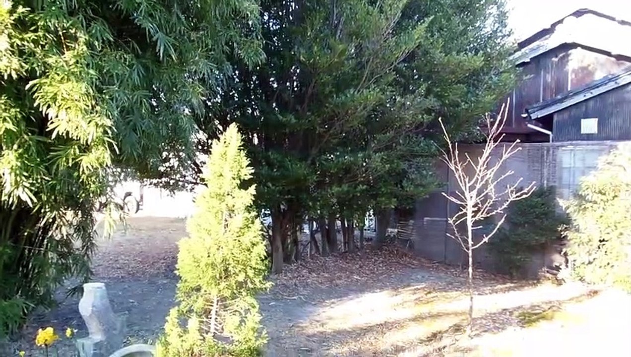 Really Quiet Japanese Winter!