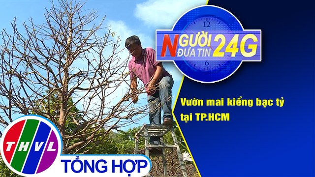 Người đưa tin 24G (6g30 ngày 28/1/2021) - Vườn mai kiểng bạc tỷ tại TP.HCM