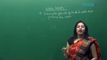 Biological Clasification by sb mam_2 Biological classification sb mam part 10