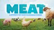 MEAT : La Vérité sur ces Animaux qu'on Mange - DOCUMENTAIRE COMPLET