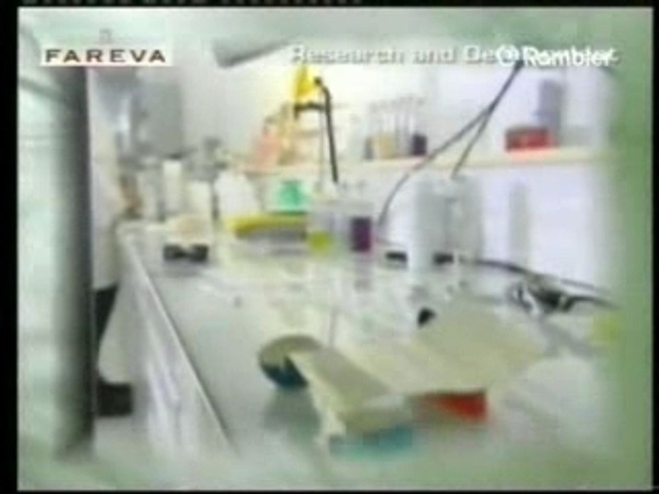 Моя компания и мой бизнес!