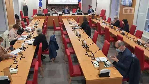 Commission des affaires culturelles : Mme Frédérique Vidal, ministre de l’Enseignement supérieur, de la Recherche et de l’Innovation - Mercredi 27 janvier 2021