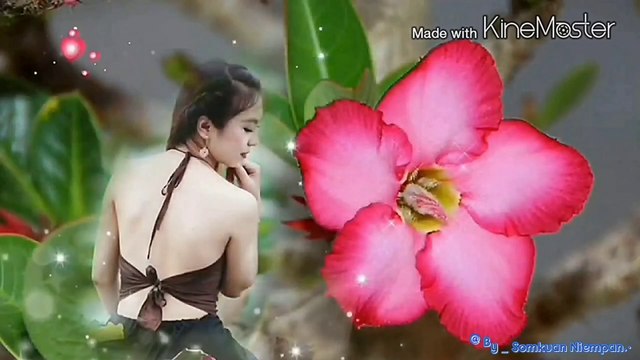 แม่สื่อแม่ชัก ชวนชม ตีตราจอง เทพธิดาเทวี ขาดเงินขาดรัก 4k ( 2160 X 3840 60fps )