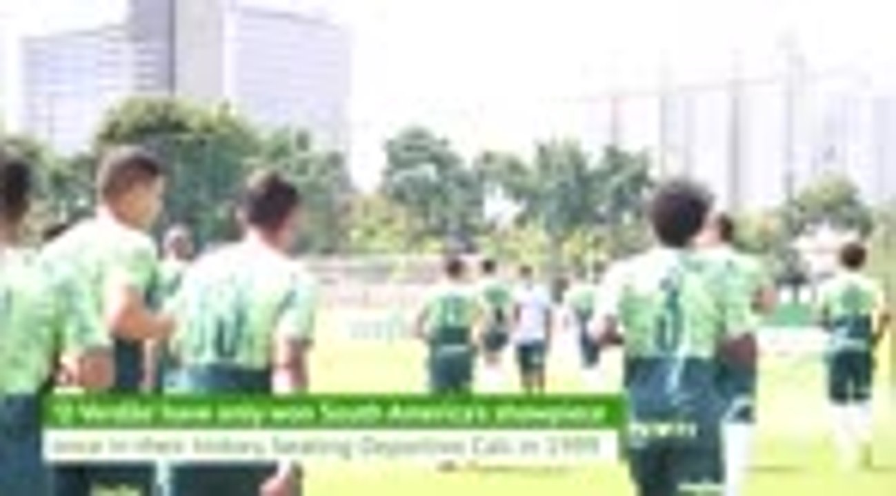 One step from glory - Palmeiras's road to the Copa Libertadores final