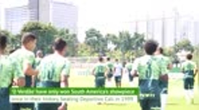 One step from glory - Palmeiras's road to the Copa Libertadores final