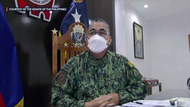 After criticism from senators, Sinas shows up at Senate probe into killings